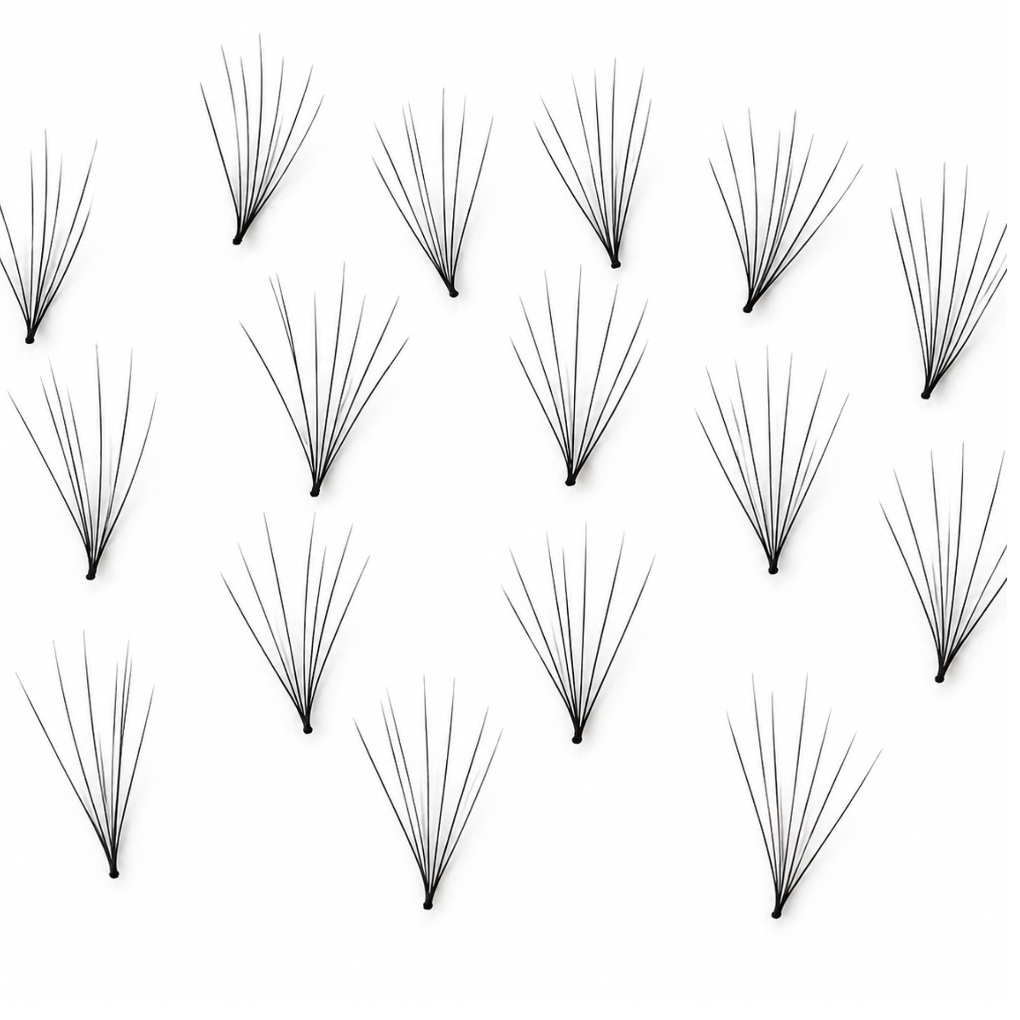41_9e89f648-2e2d-451b-b261-4f5f68d62ad3.png