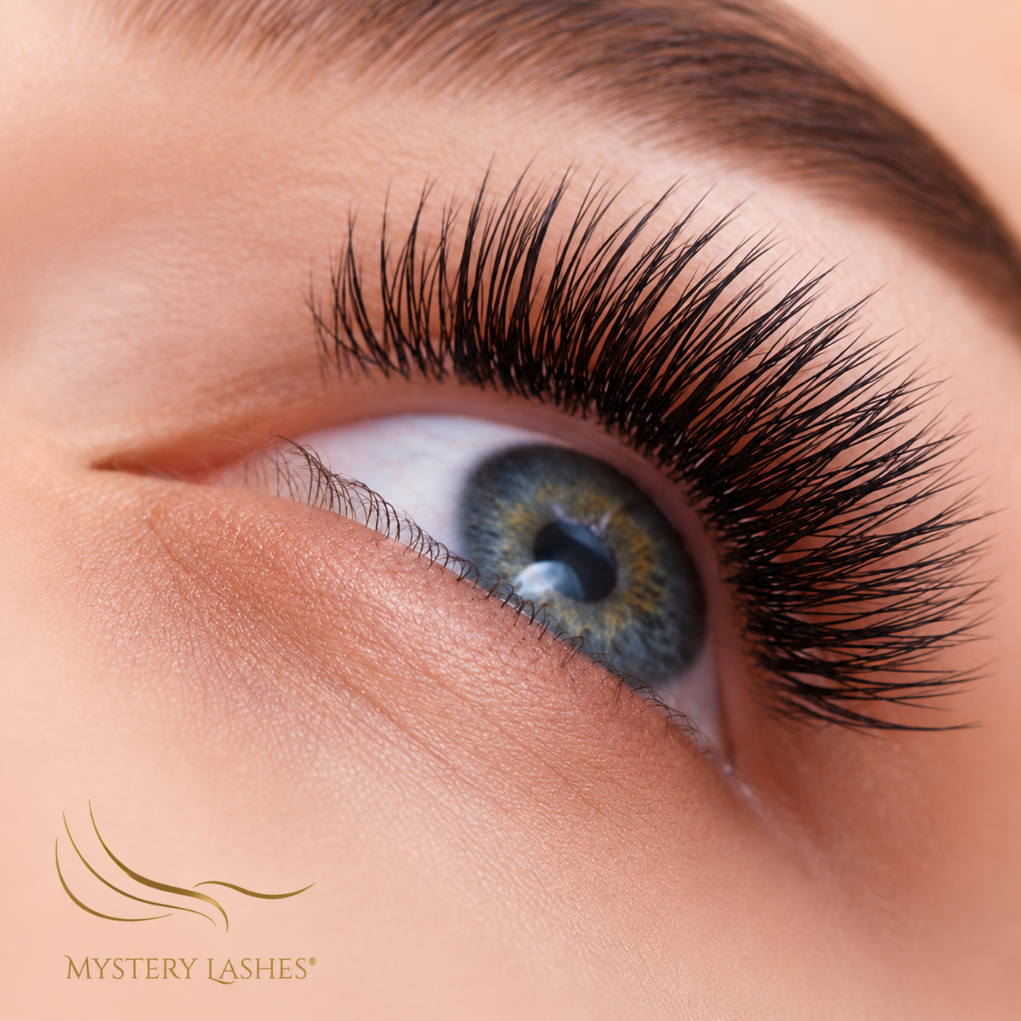 Wimpernfächer PREMIUM HD Natural Look