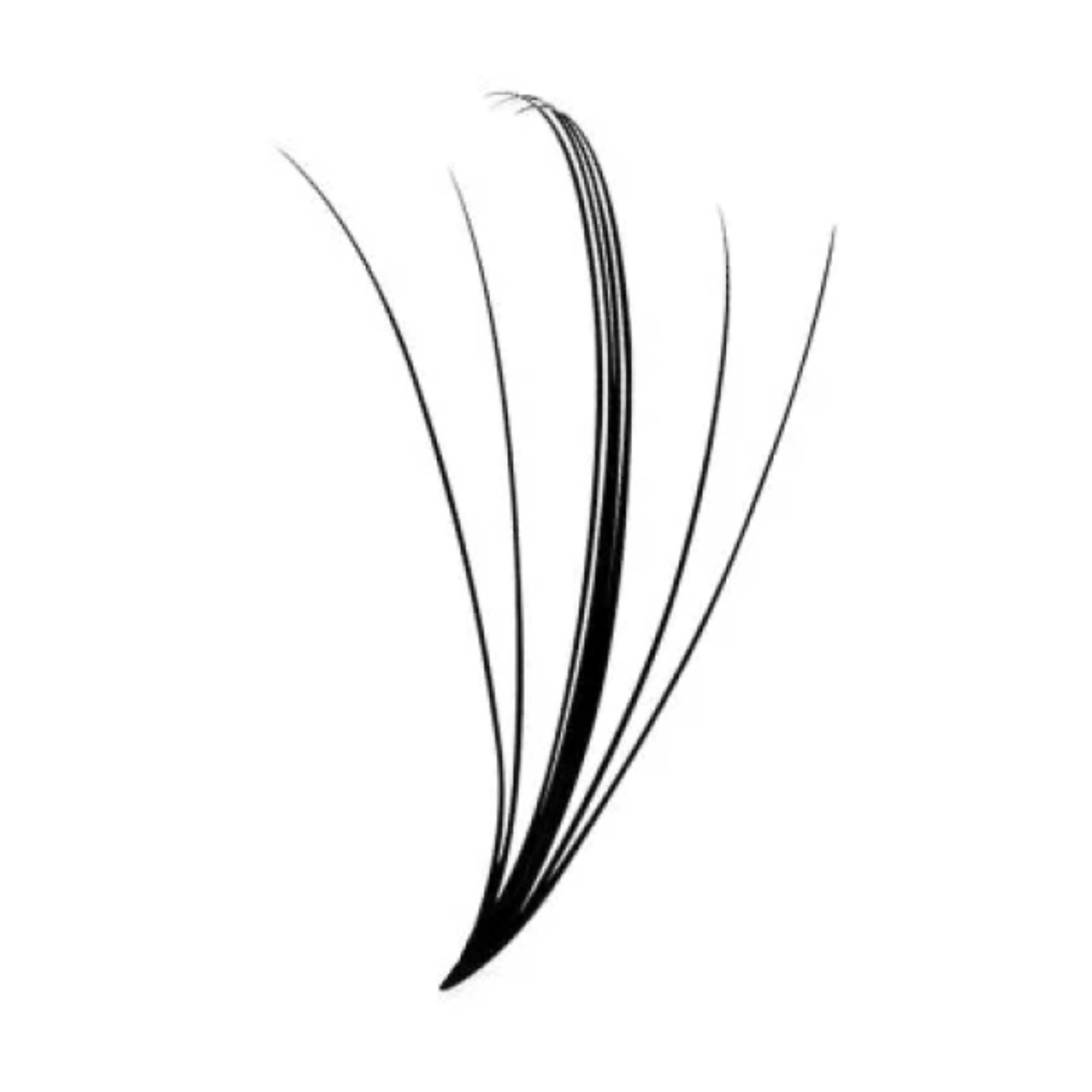 58_9857b056-4fc3-4184-a3c4-8df22fd0bda6.png