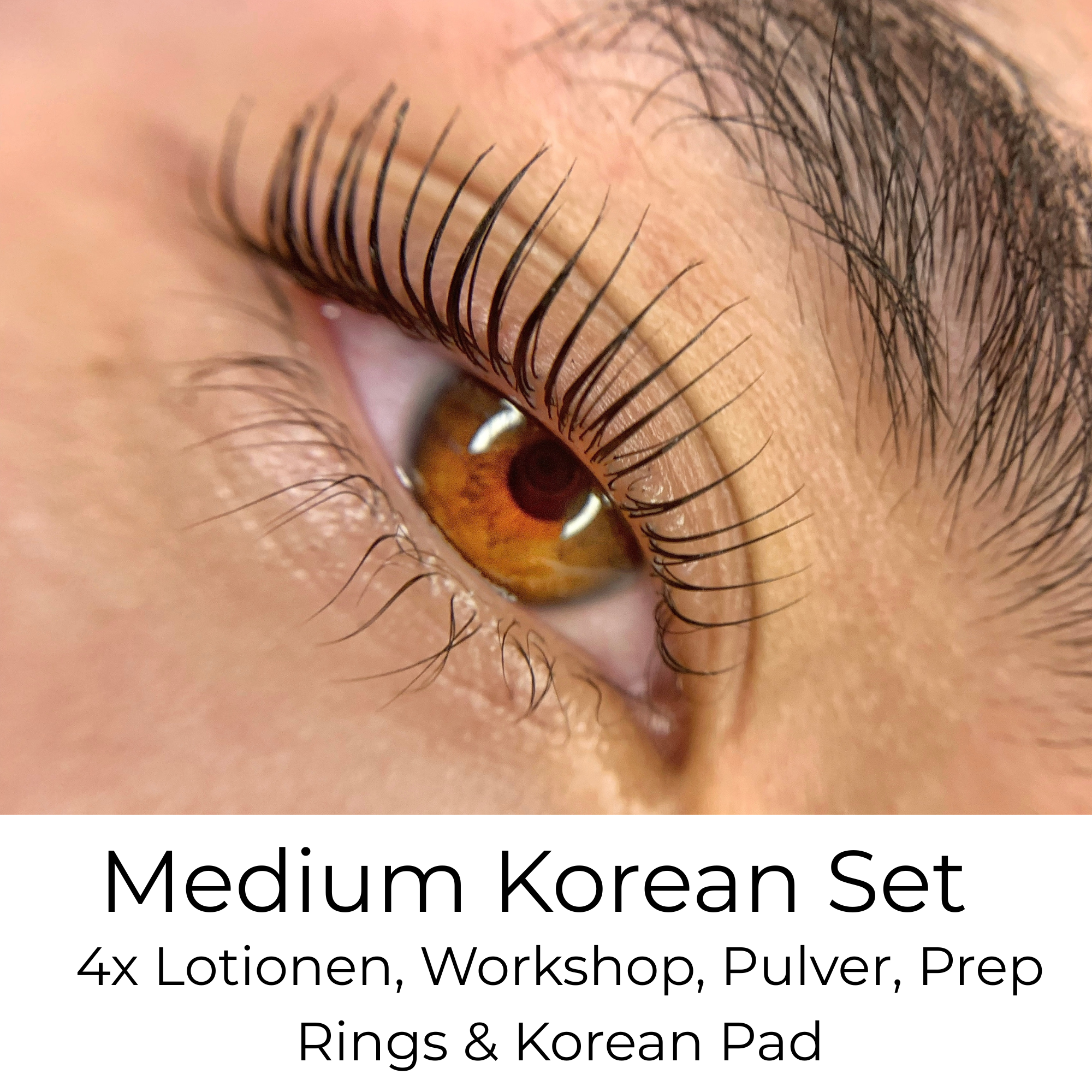 Workshop + Korean Komplett Set (MEDIUM)