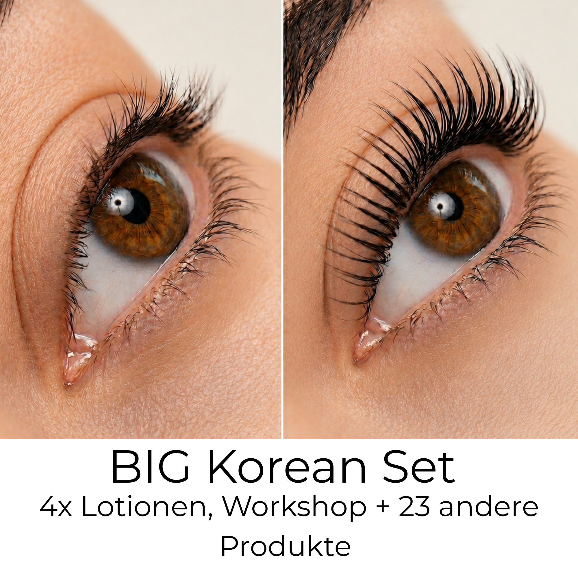 Workshop + Korean Komplett Set (BIG)