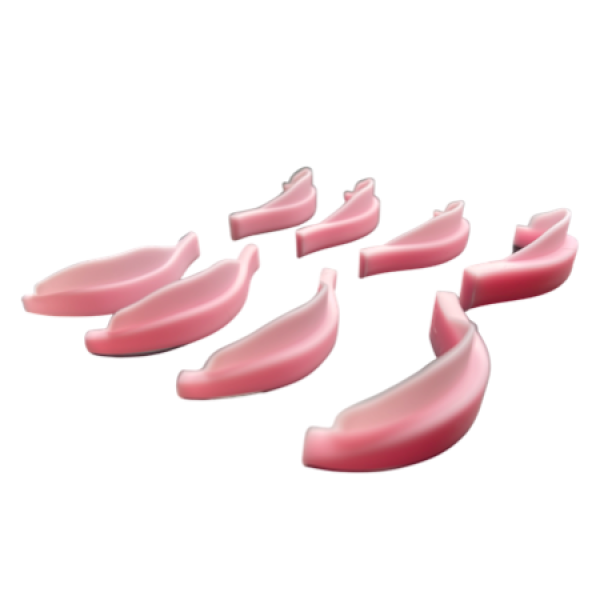 IMG_7217.png