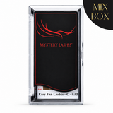 Doppel Layer Easy Fan Lashes | Mixtrays