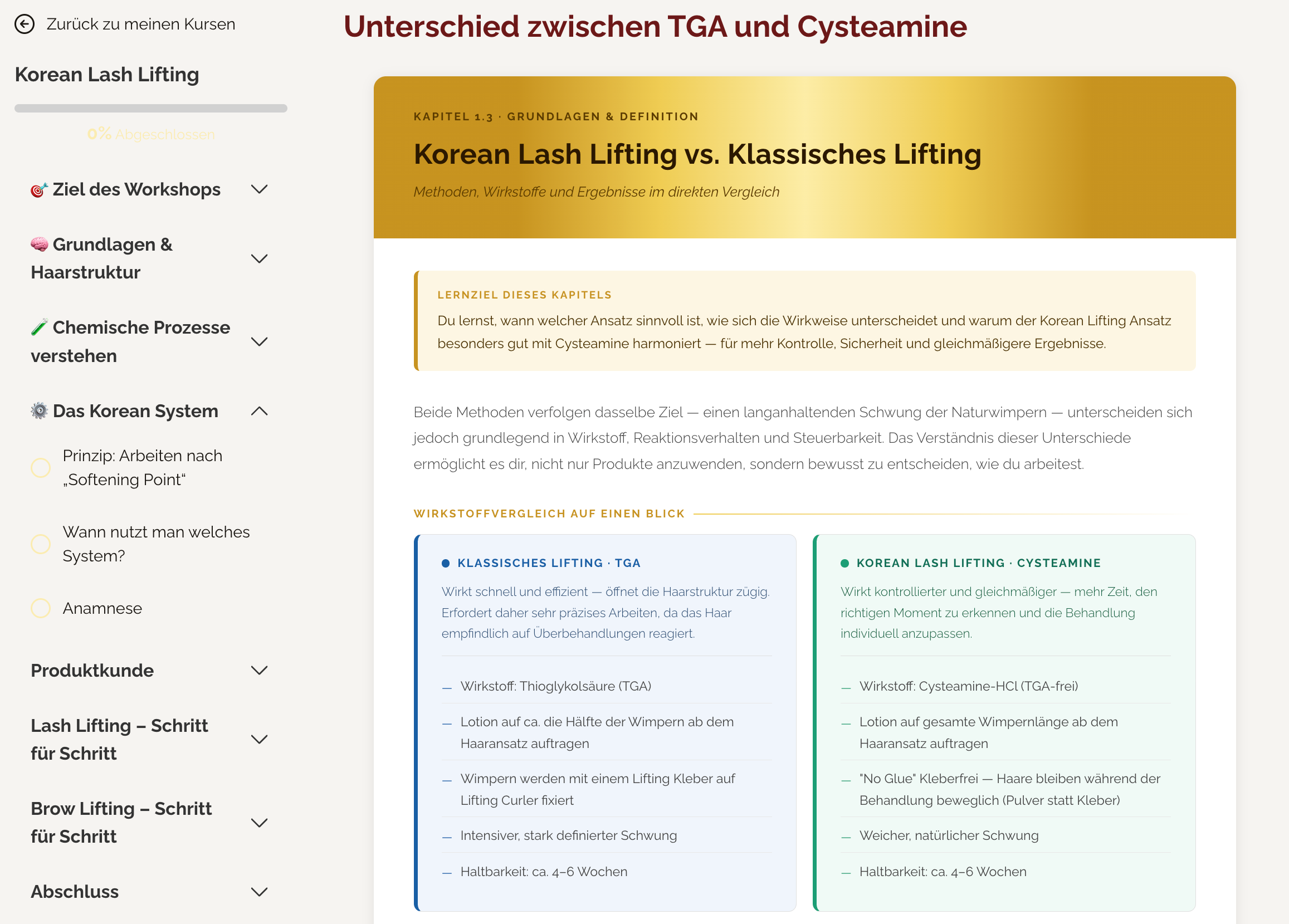 Korean Lash und Brow Lifting Workshop
