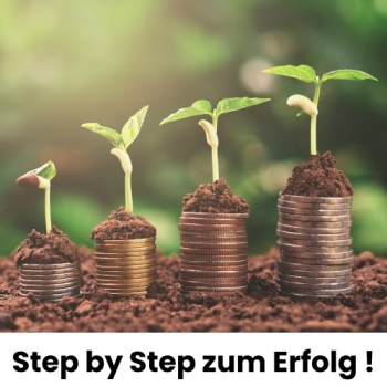 Preview: Mystery Innovation Ratenzahlung Preview: Step by Step zur Mystery Innovation